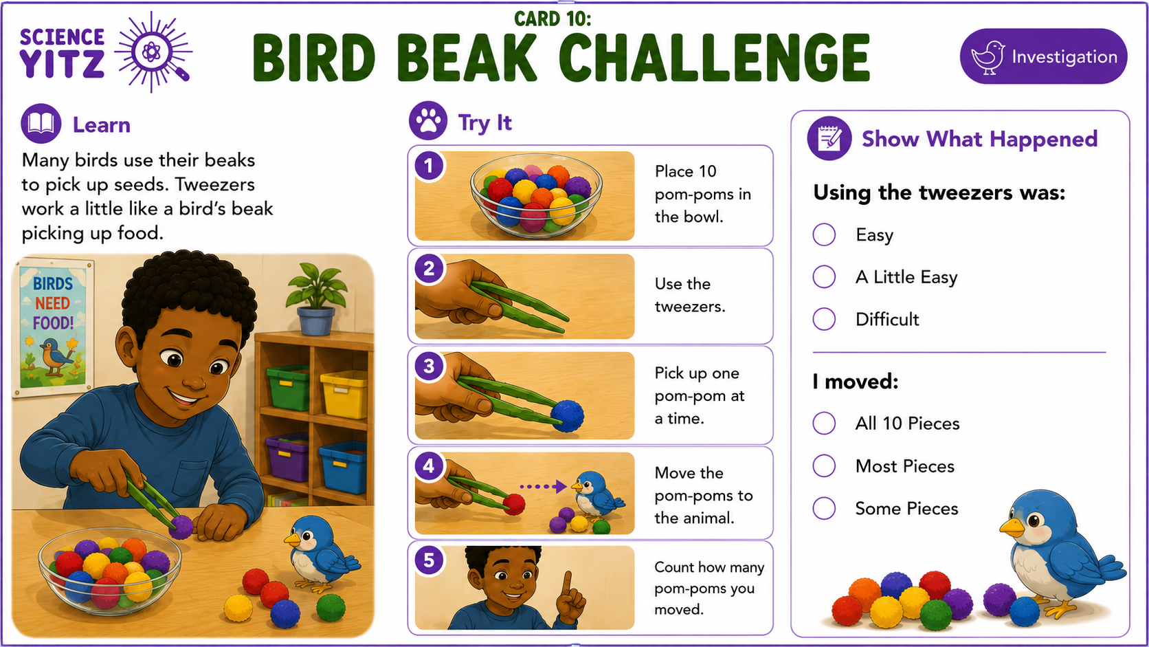 Science Yitz Kit 5 Card 10: Bird Beak Challenge activity